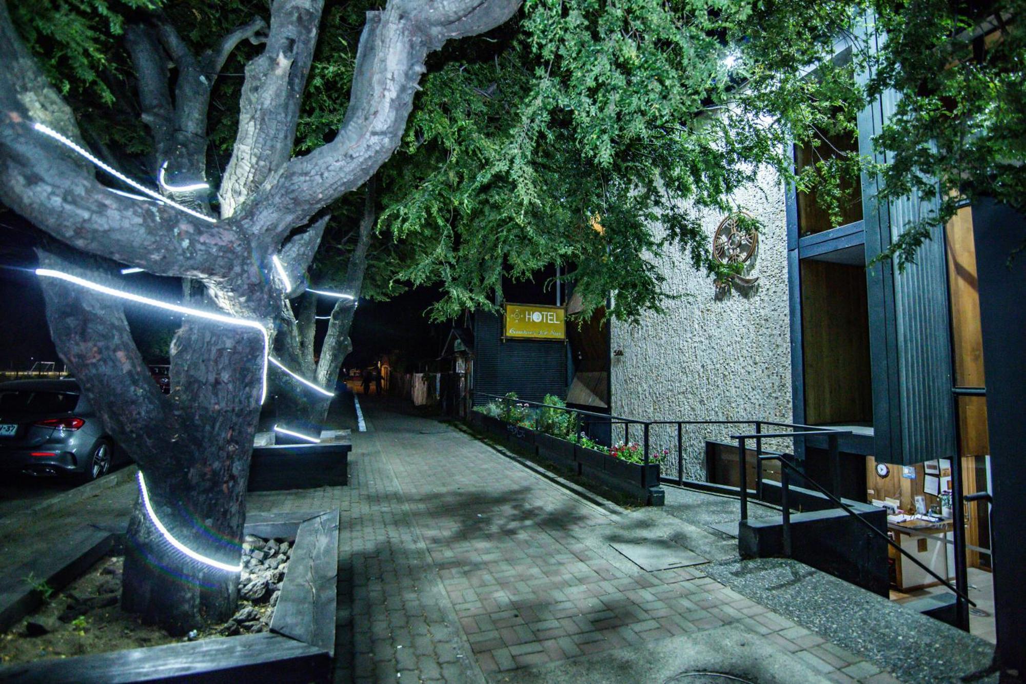 Hotel Cumbres Del Sur Pucón المظهر الخارجي الصورة